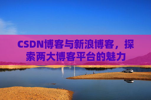 CSDN博客与新浪博客，探索两大博客平台的魅力