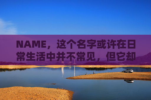 NAME，这个名字或许在日常生活中并不常见，但它却在某些领域里扮演着重要的角色。今天，让我们一起来探索这个名字背后的故事和意义